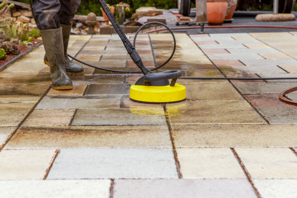Best Pre-Holiday Cleaning  in Navy Yard City, WA